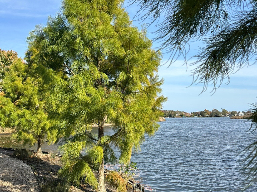 Bayard Cutting Arboretum-Great River必去景点