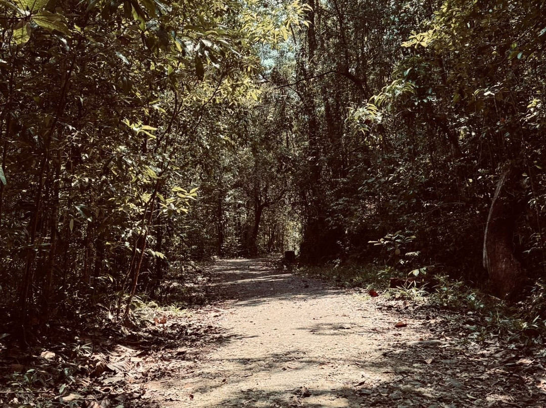 Visit Kanneliya Rain Forest-Koralegama必去景点