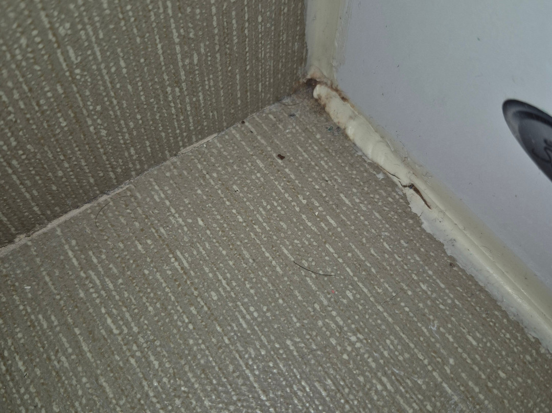 Hyatt Place Toronto/Mississauga Centre主图