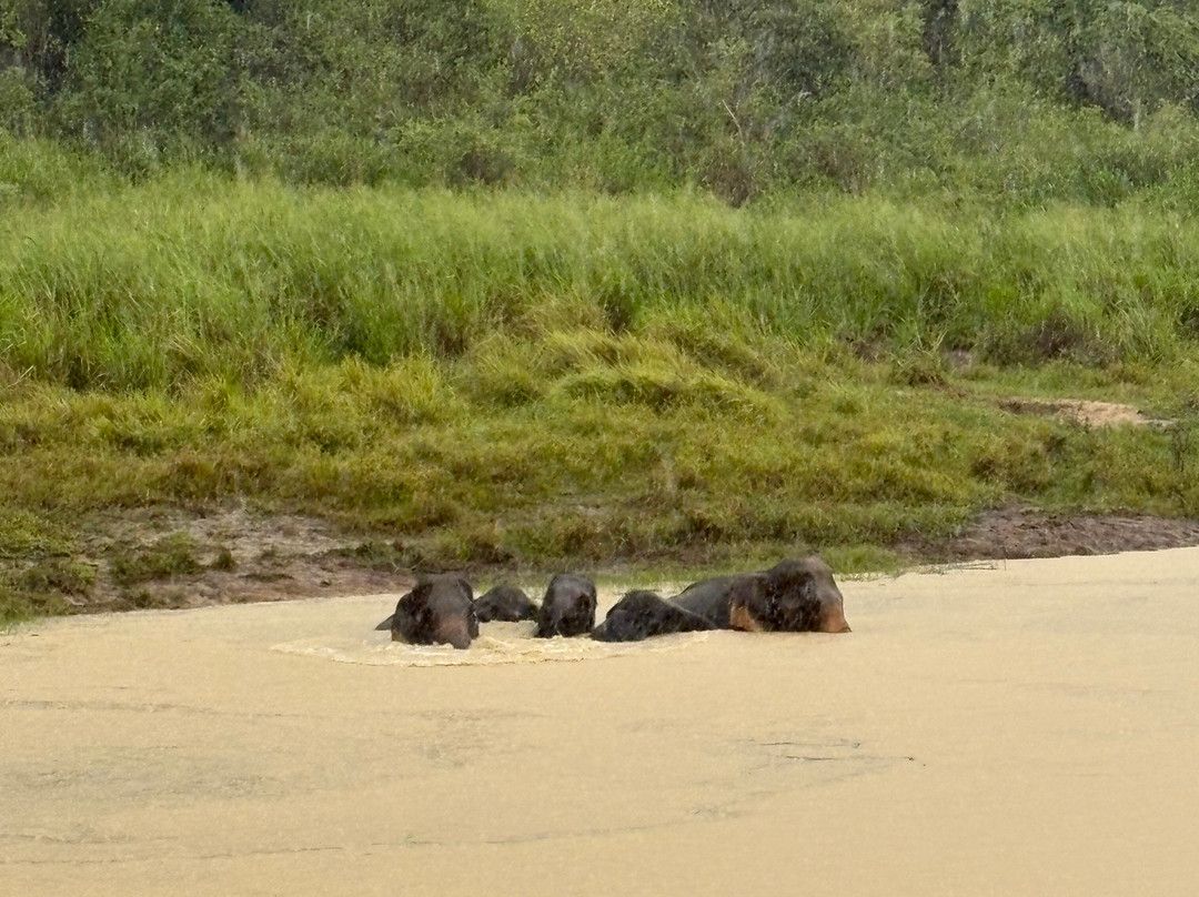 Kalum Jeep Safari-哈巴拉娜必去景点