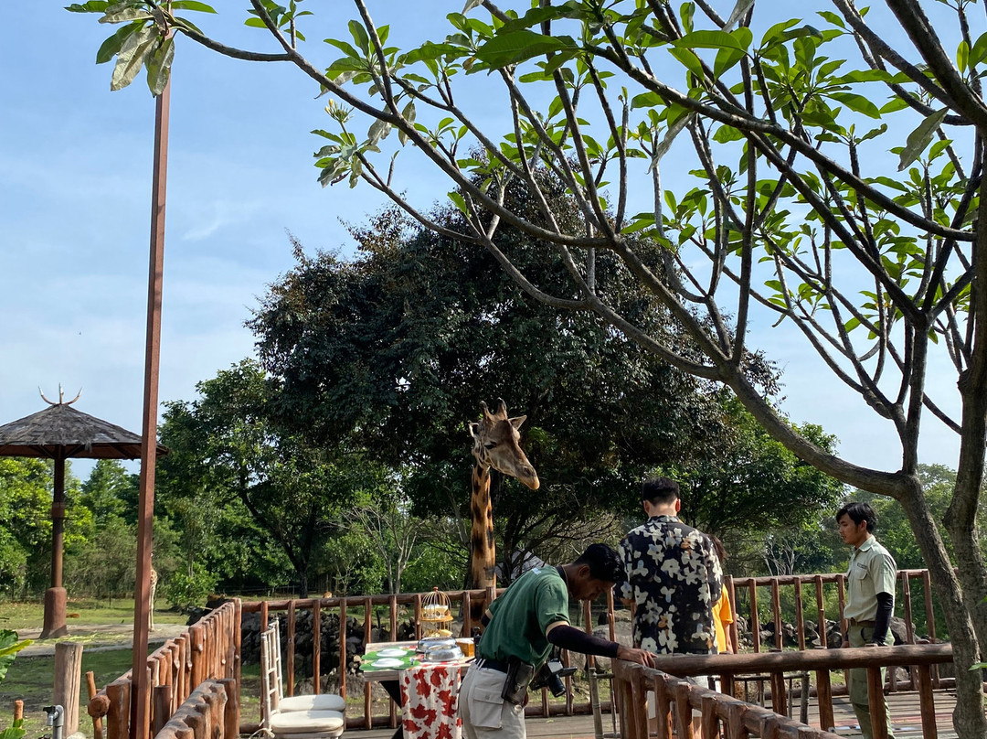 Baobab Safari Resort主图