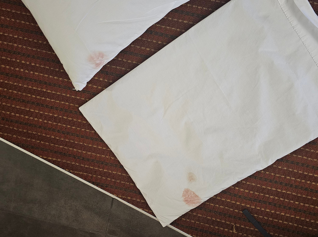 Hampton Inn By Hilton Champaign Southwest主图