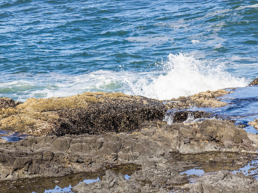 Thor's Well-亚查茨必去景点