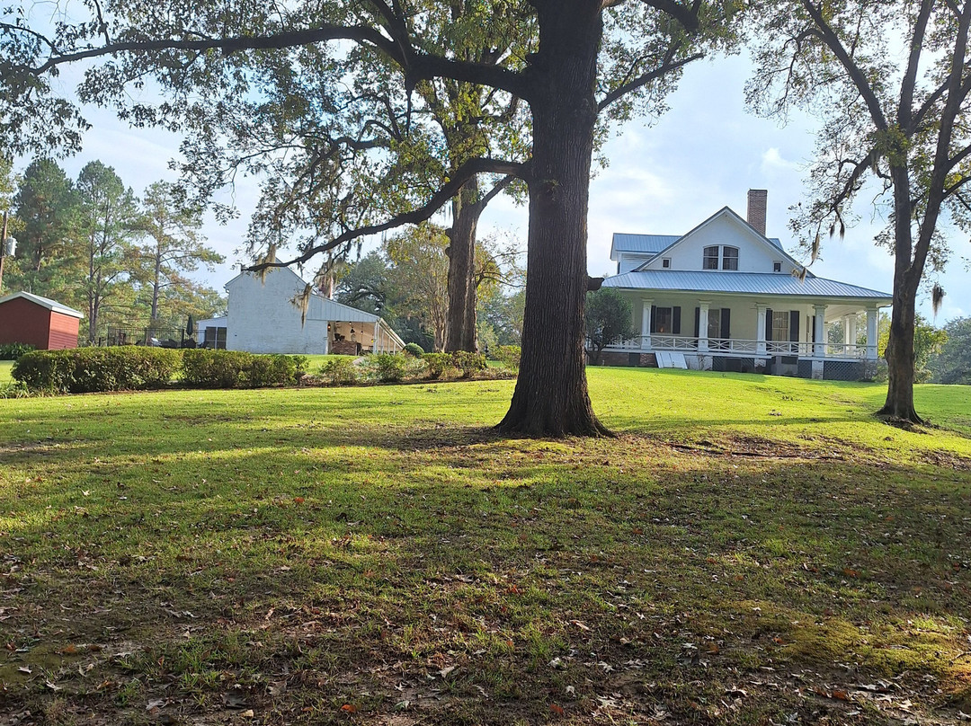 Canemount Plantation Inn主图