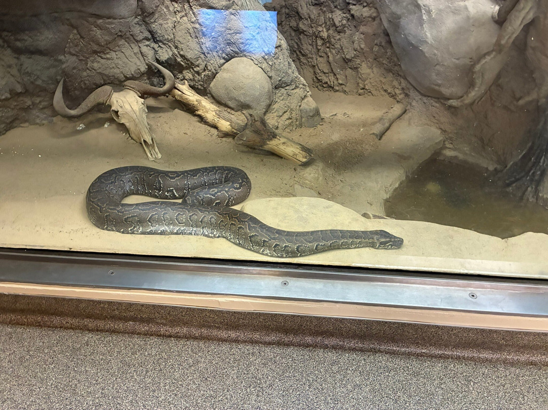 克利夫兰动物园-克利夫兰必去景点