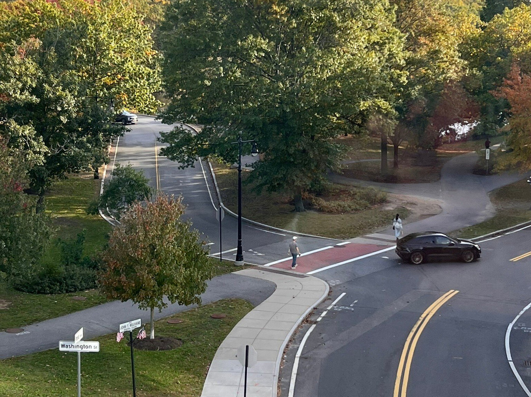 Hilton Garden Inn Boston Brookline主图