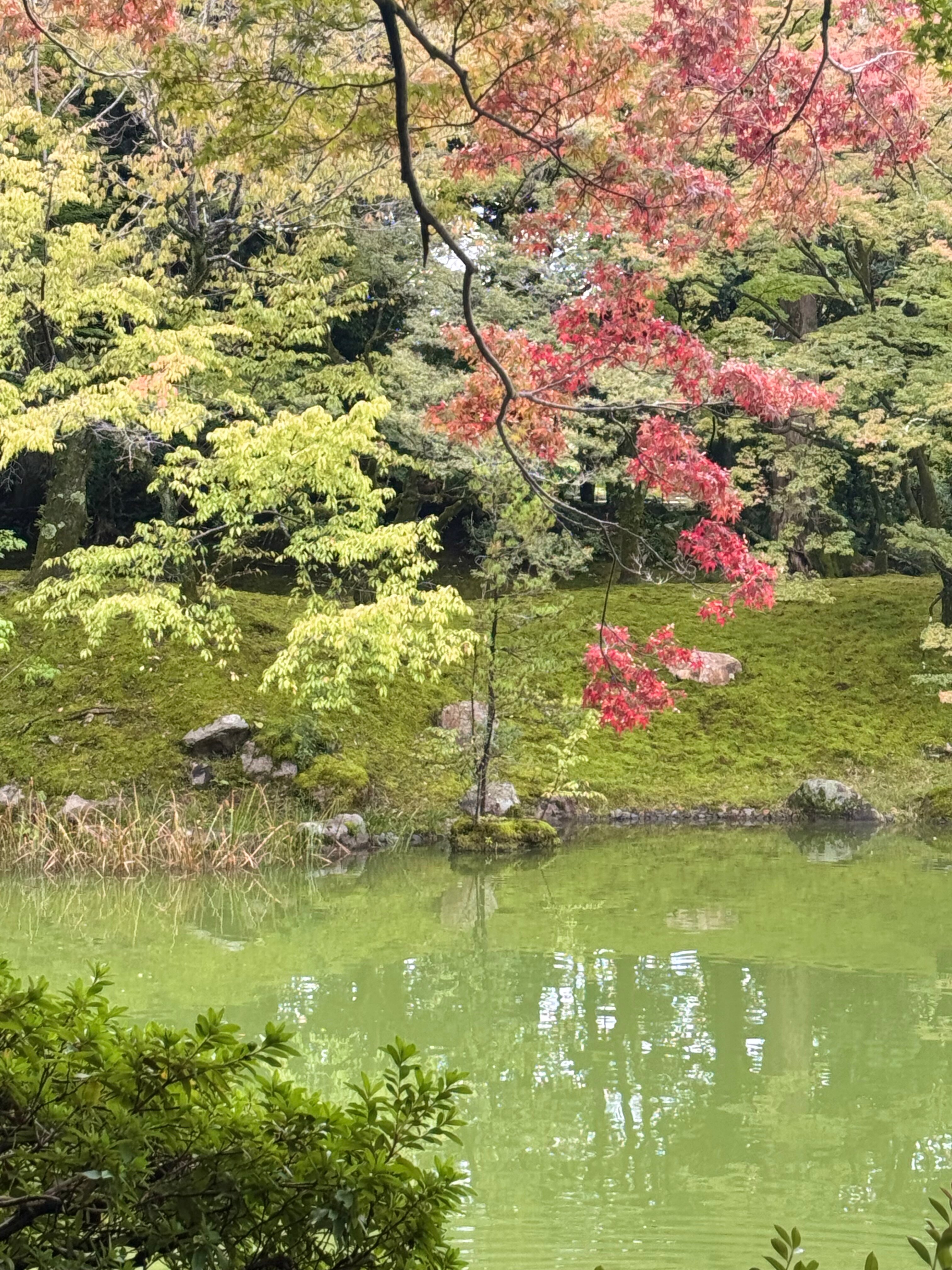 MONday Apart Premium KYOTO Station-官方