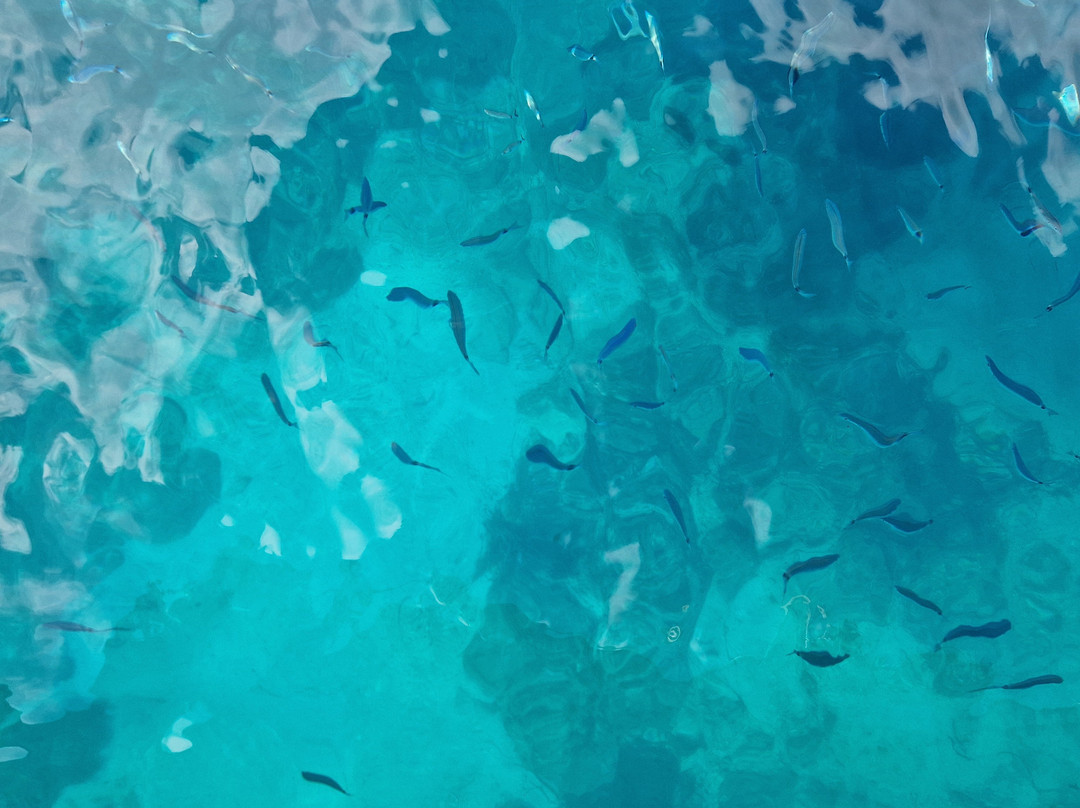 Zingaronboat-戈尔福海堡必去景点