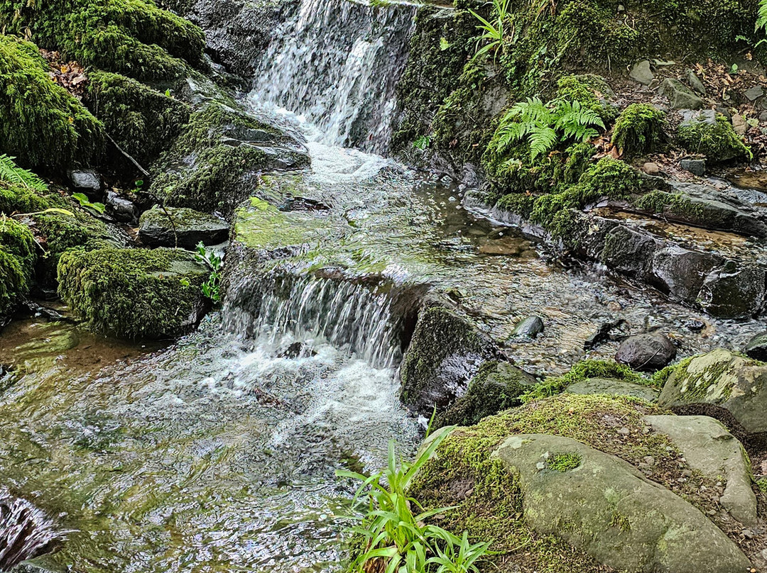 Balloch Castle Country Park-Balloch必去景点