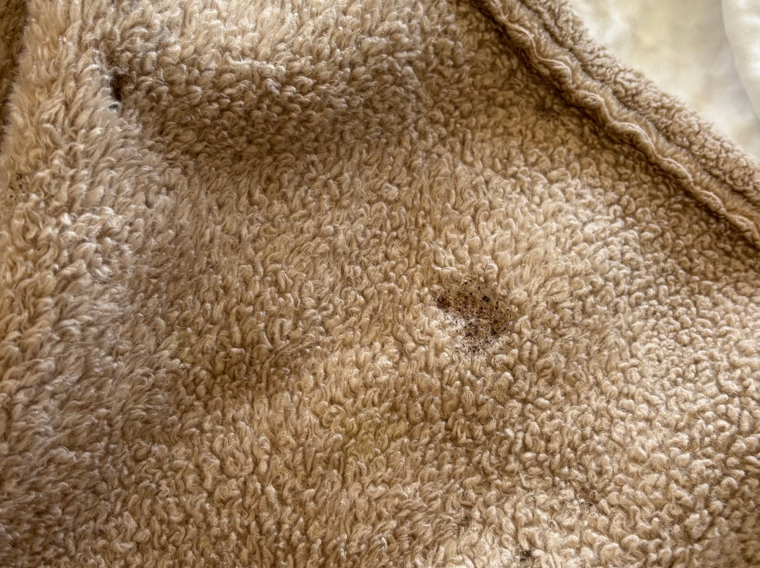 Quintas Papagayo主图