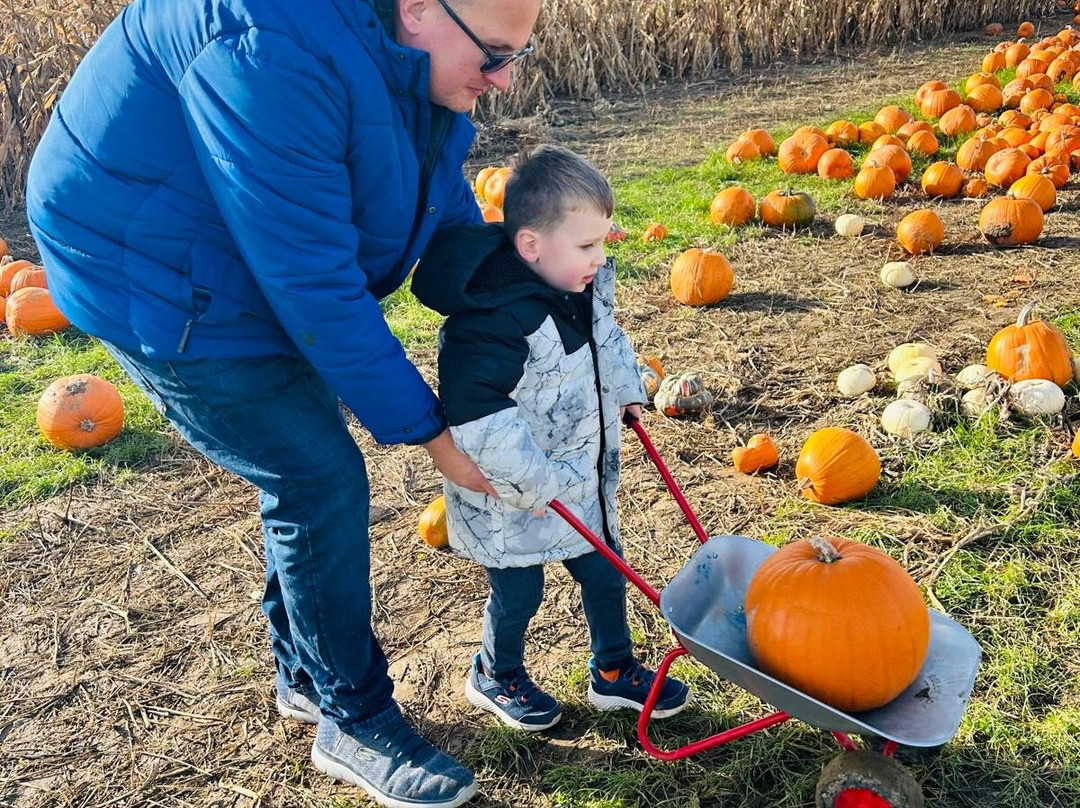 Hirsty's Family Fun Park-Hemsby必去景点