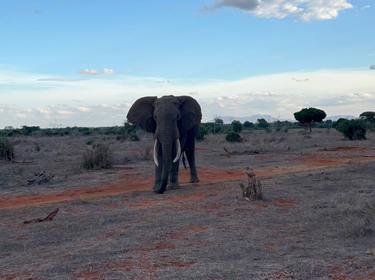 Sule Kenya Safari-瓦塔木必去景点