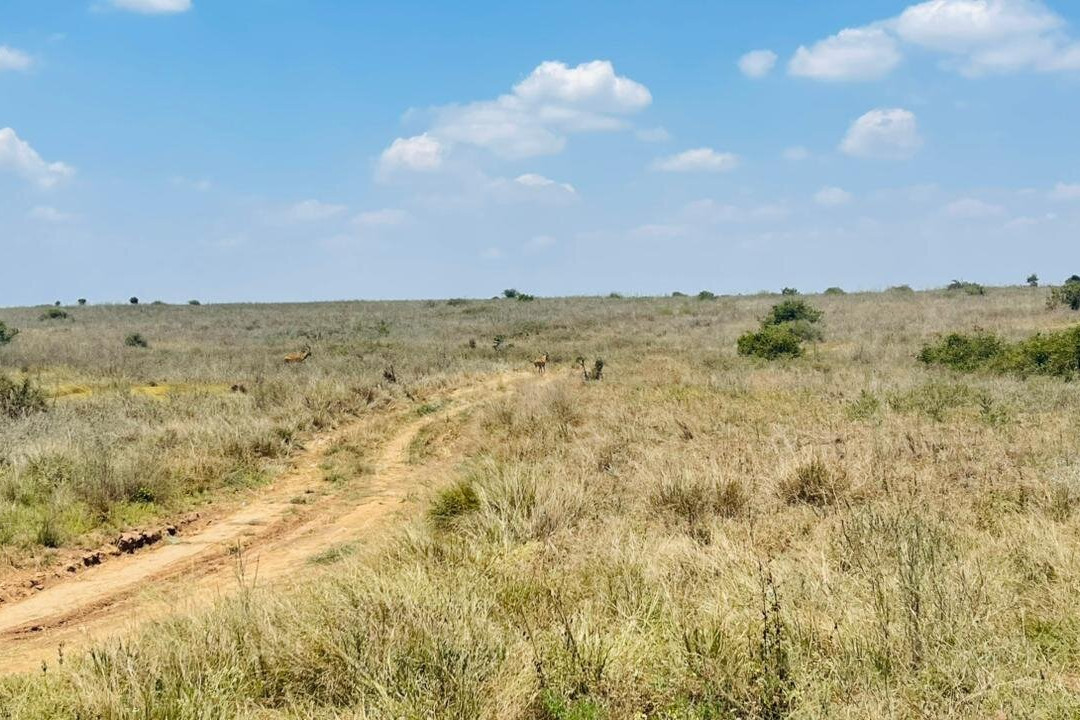 Kedi Trail-Voi必去景点