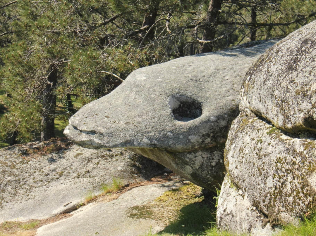 Parque Natural Monte Aloia-图伊必去景点