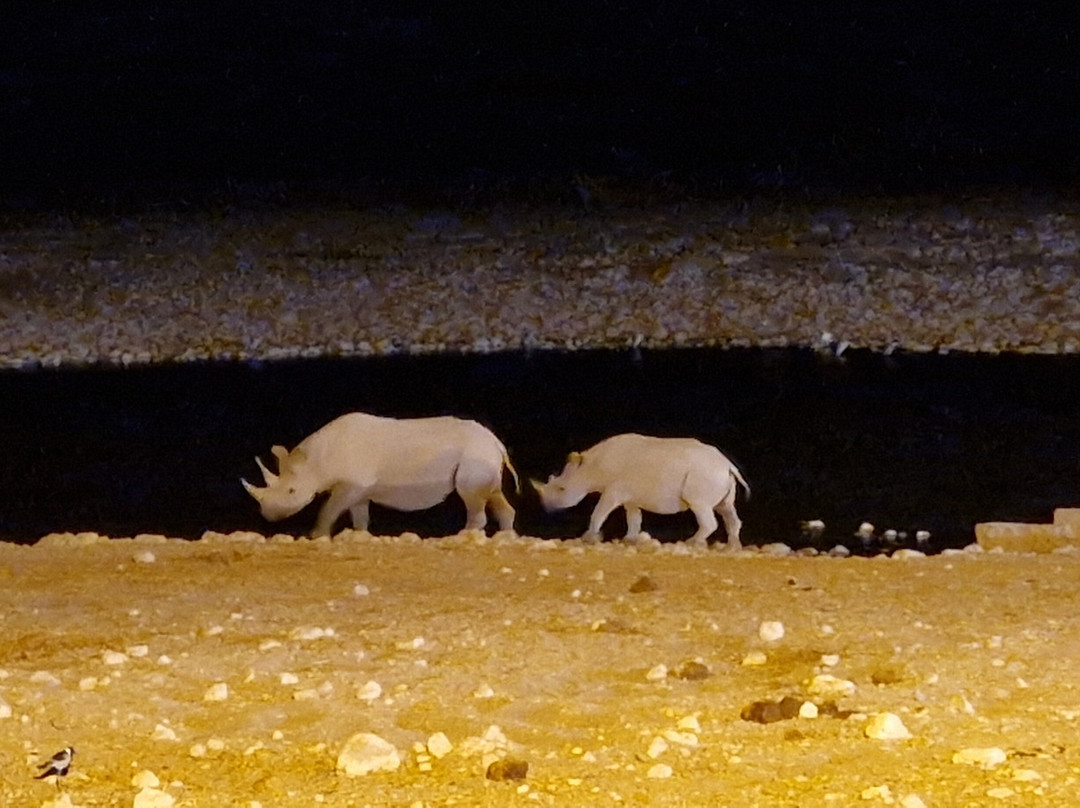 Chameleon Holidays and Travel-温德和克必去景点