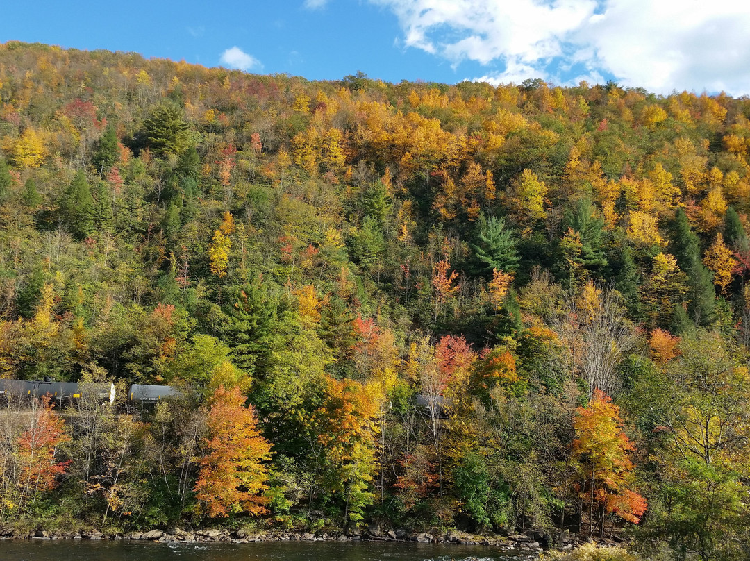 Poconos Bike Rentals - Rafting - River Tubing-White Haven必去景点