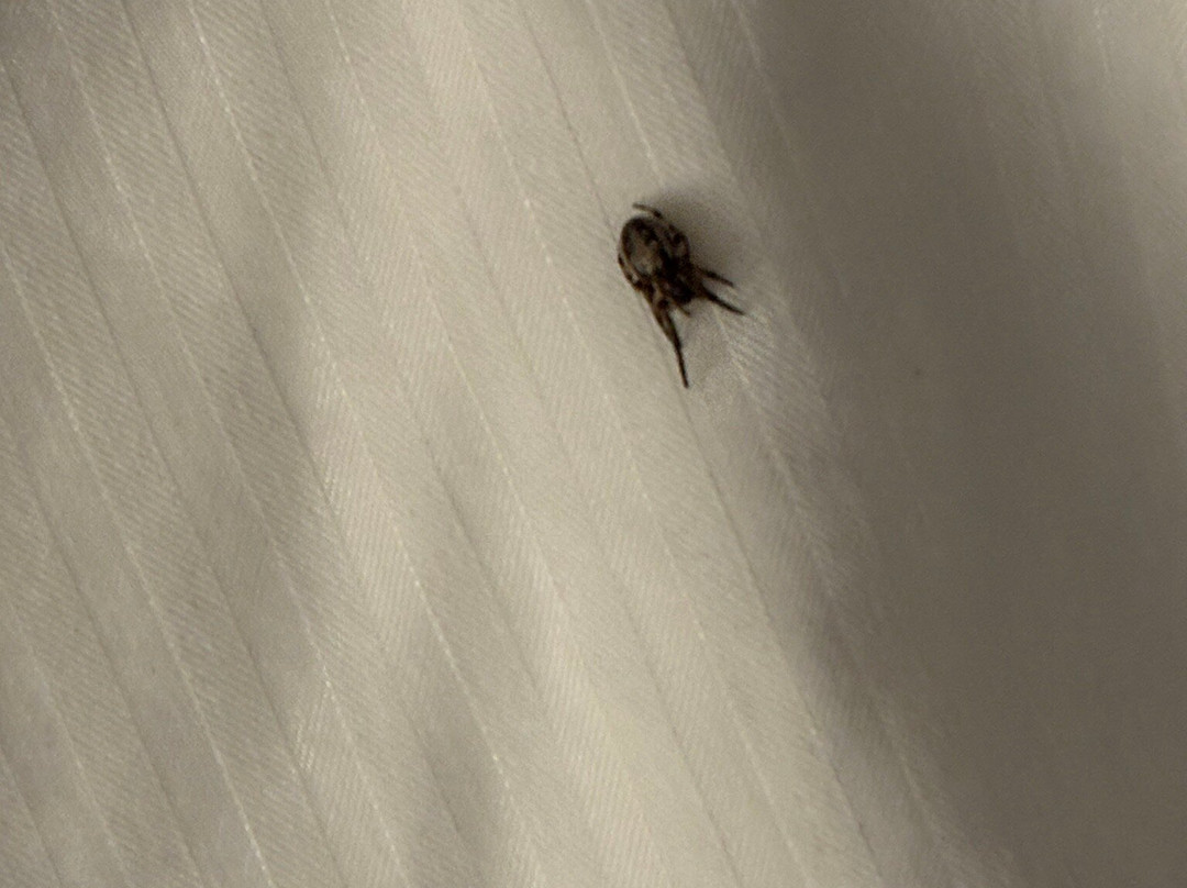 Doubletree By Hilton Hotel Atlanta-alpharetta主图