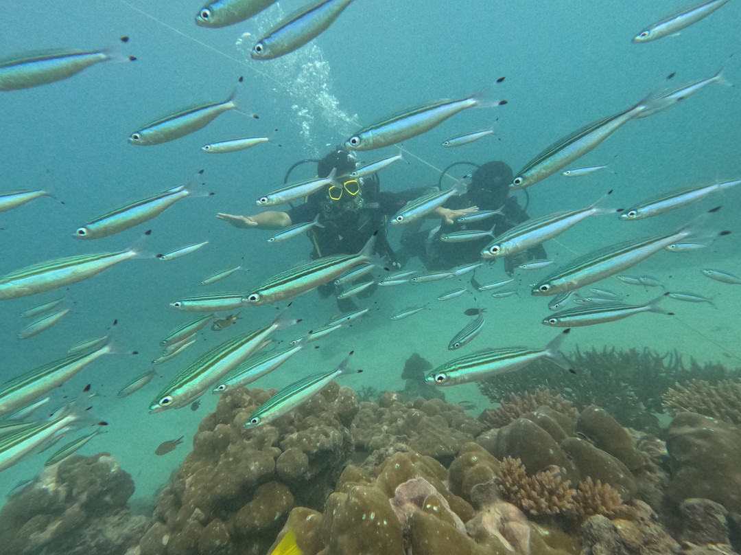 Turquoise Dream | PADI Dive Centre-Neil Island必去景点