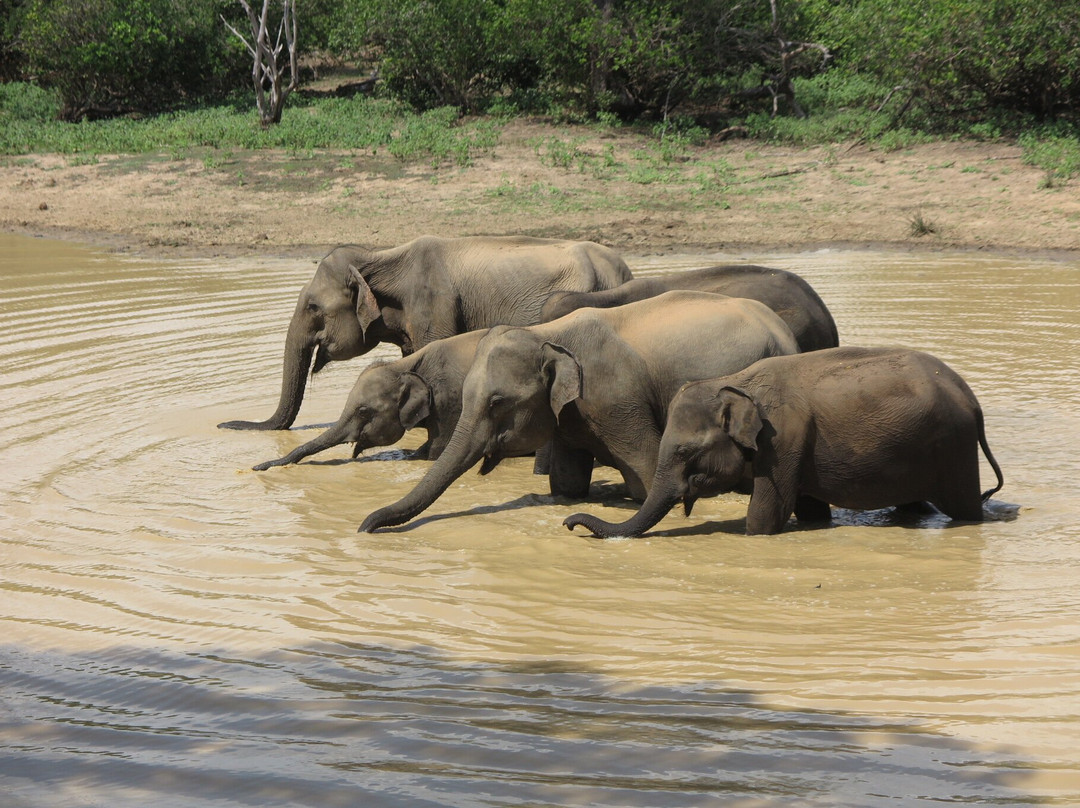 Freedom Safari Jeep Tours-蒂瑟默哈拉默必去景点