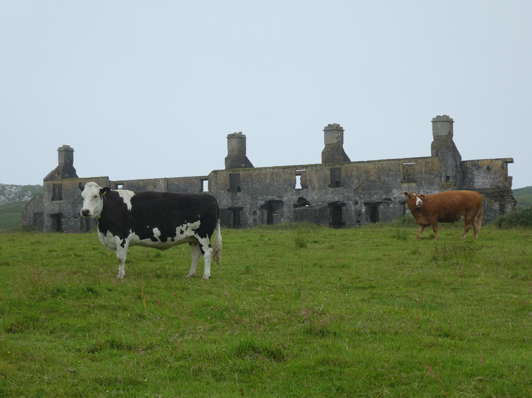 Ballinskelligs Abbey-Ballinskelligs必去景点