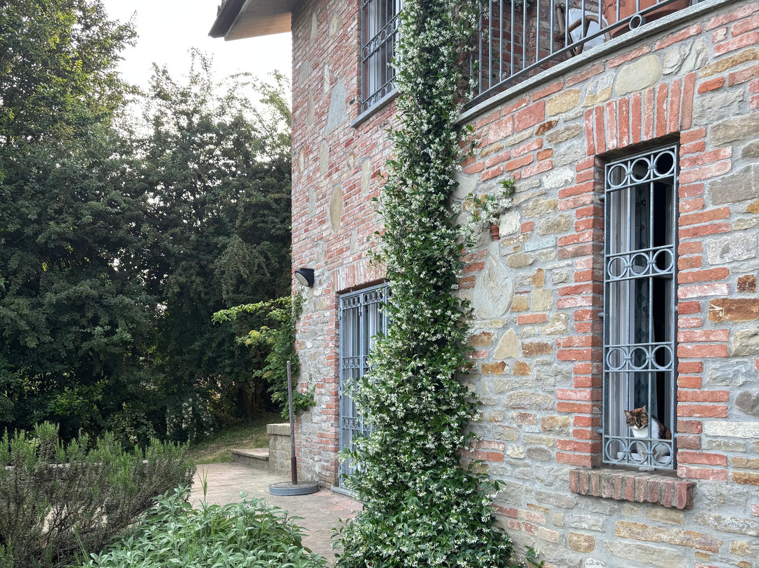 Villa Moglietta Host In Langhe