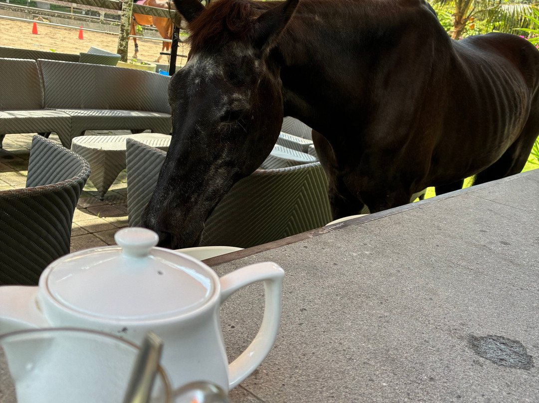 Royal Sporthorse Bali-Kutuh必去景点