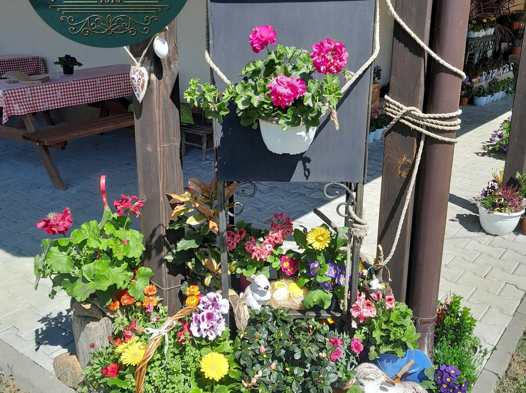 Ethno Village Dolene-Petrich必去景点