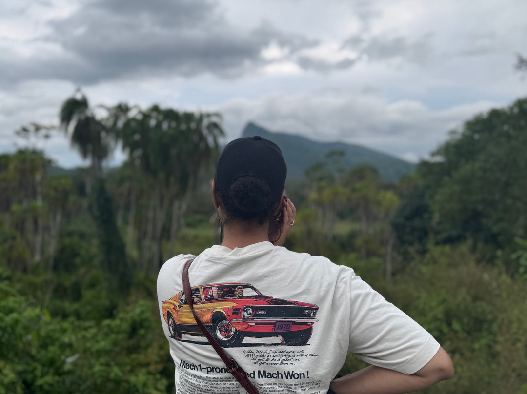 Vintage Ethiopia Tour And Travel-Jimma必去景点