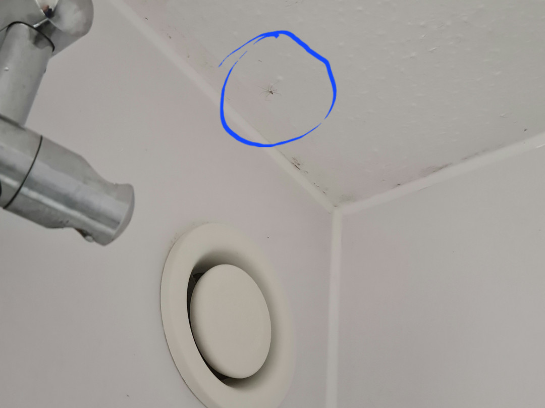 Travelodge Reading Whitley主图