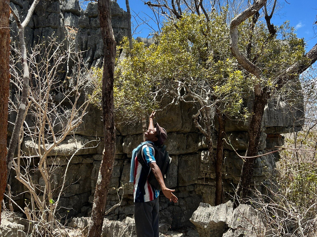 Ankarana Special Reserve-迪亚哥苏亚瑞必去景点