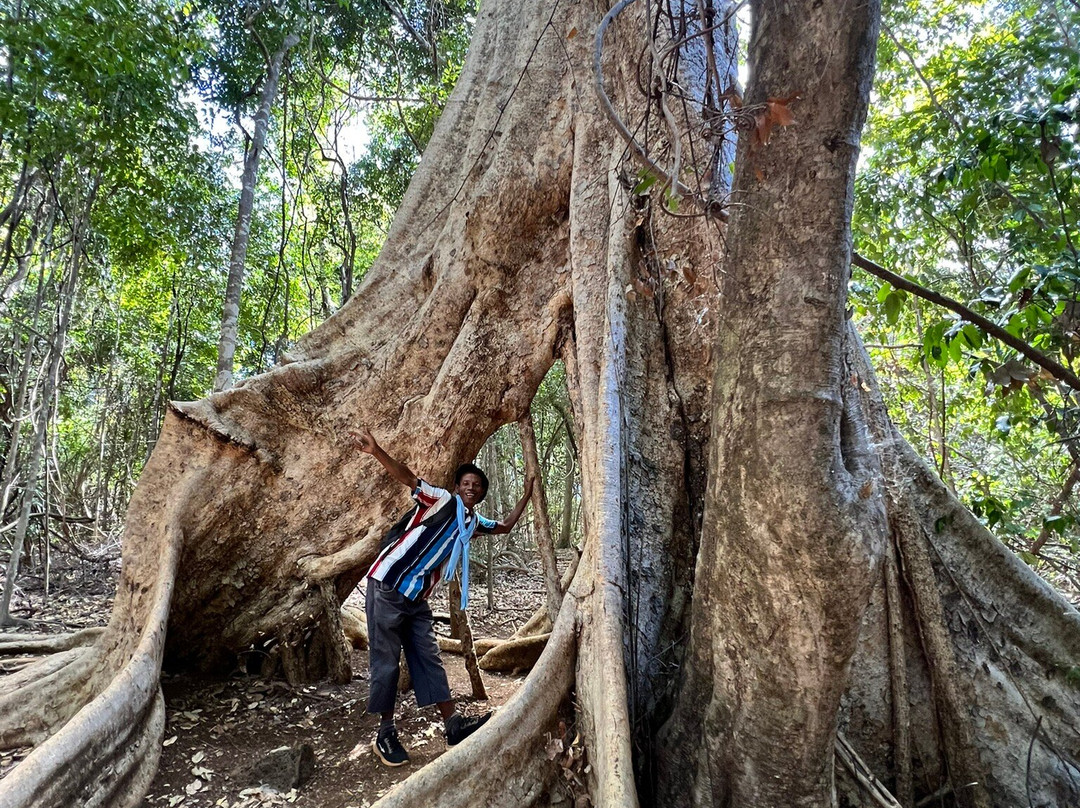 Ankarana Special Reserve-迪亚哥苏亚瑞必去景点