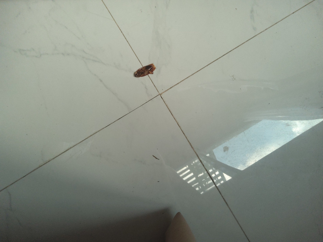 BIG 8 Corporate Hotel DIGOS