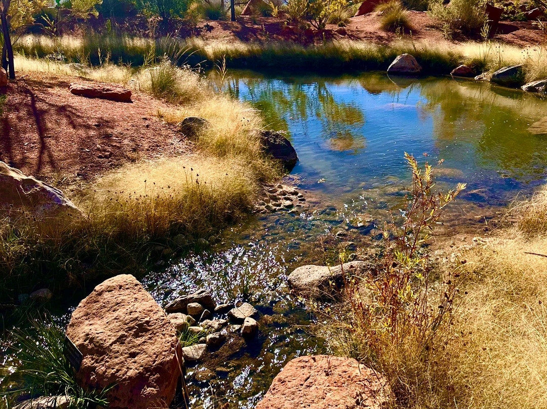 Red Hills Desert Garden-圣乔治必去景点