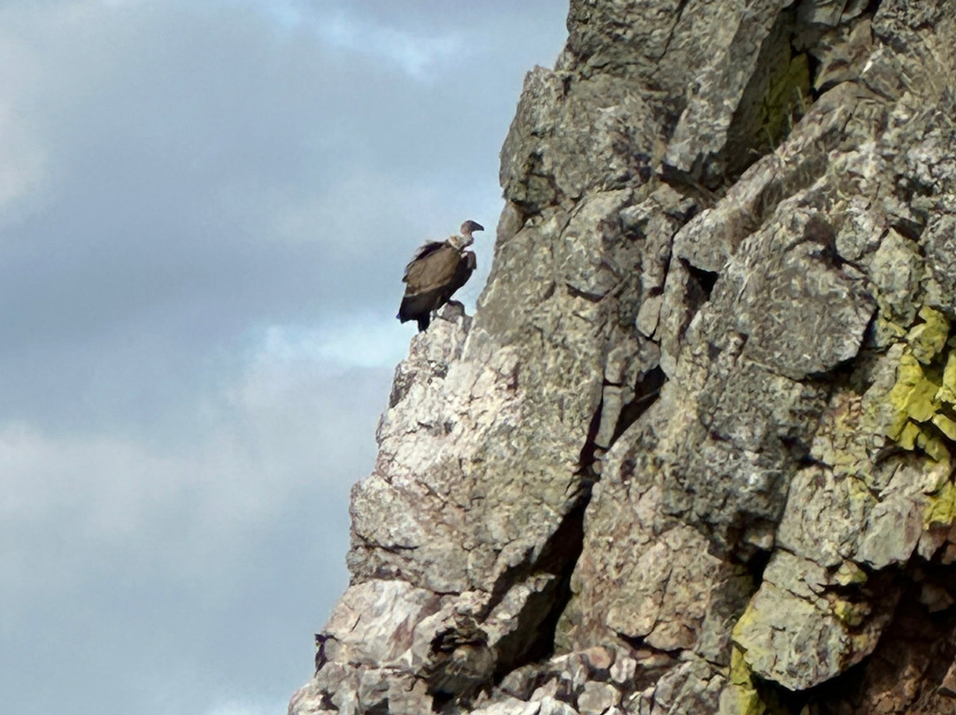 Birding Naturaleza-Plasencia必去景点