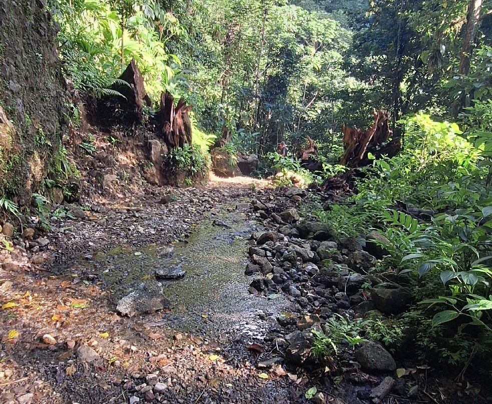 Salton Waterfalls-Saint Joseph必去景点