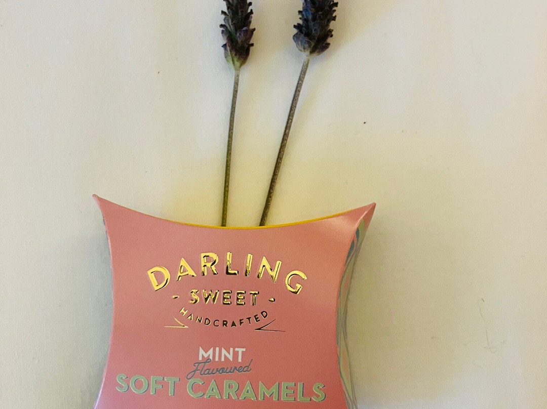 Darling Lodge Guest House主图