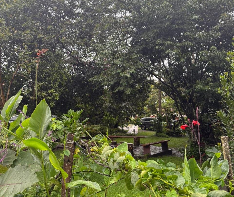 Carolina Egg Gasthaus主图