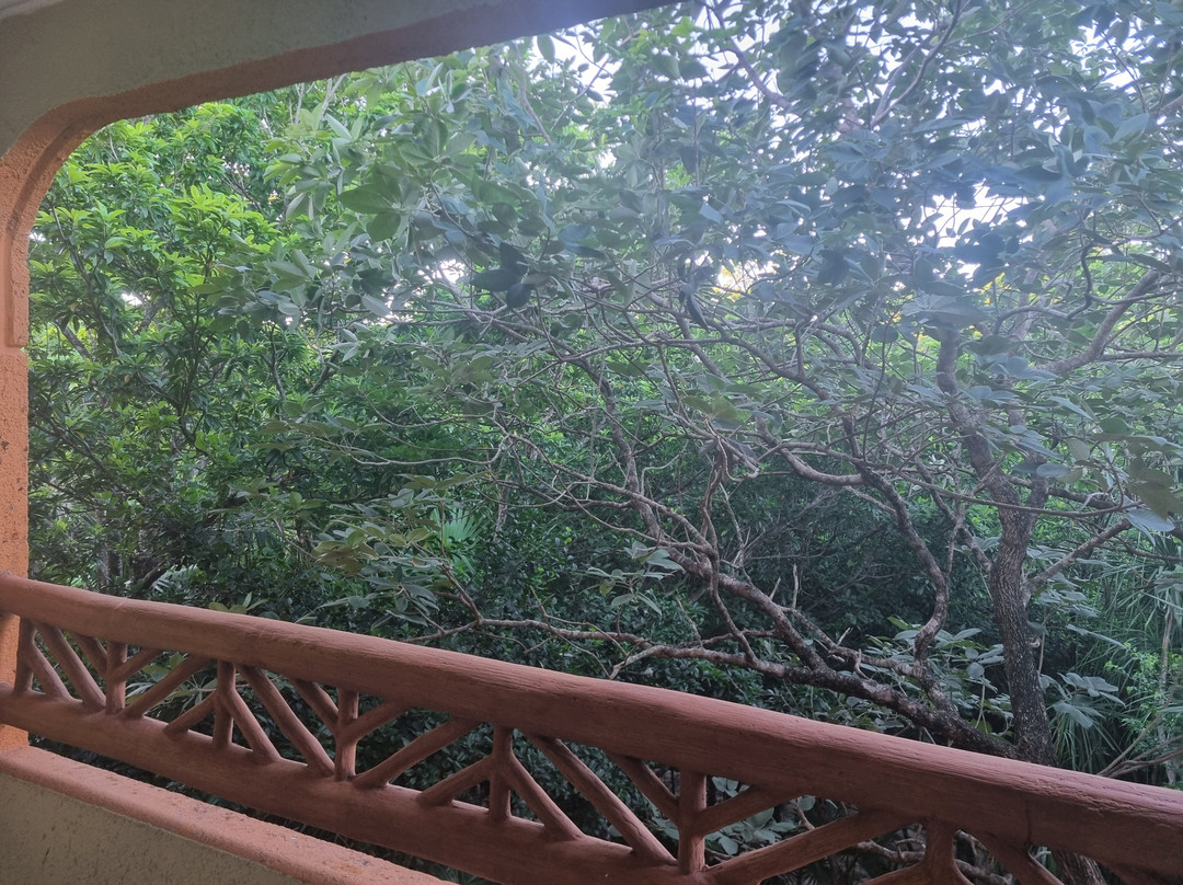 图卢姆加泰罗尼亚皇家成人专用酒店全包主图