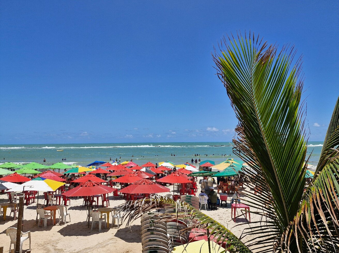 Praia do Francês-Praia do Frances必去景点