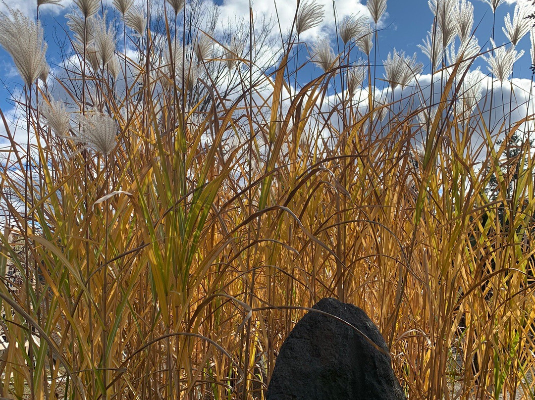 Three Sisters Sanctuary-Goshen必去景点
