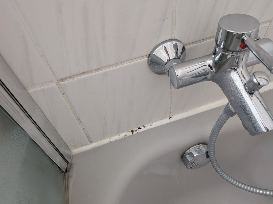 卡塞尔温德姆花园酒店主图