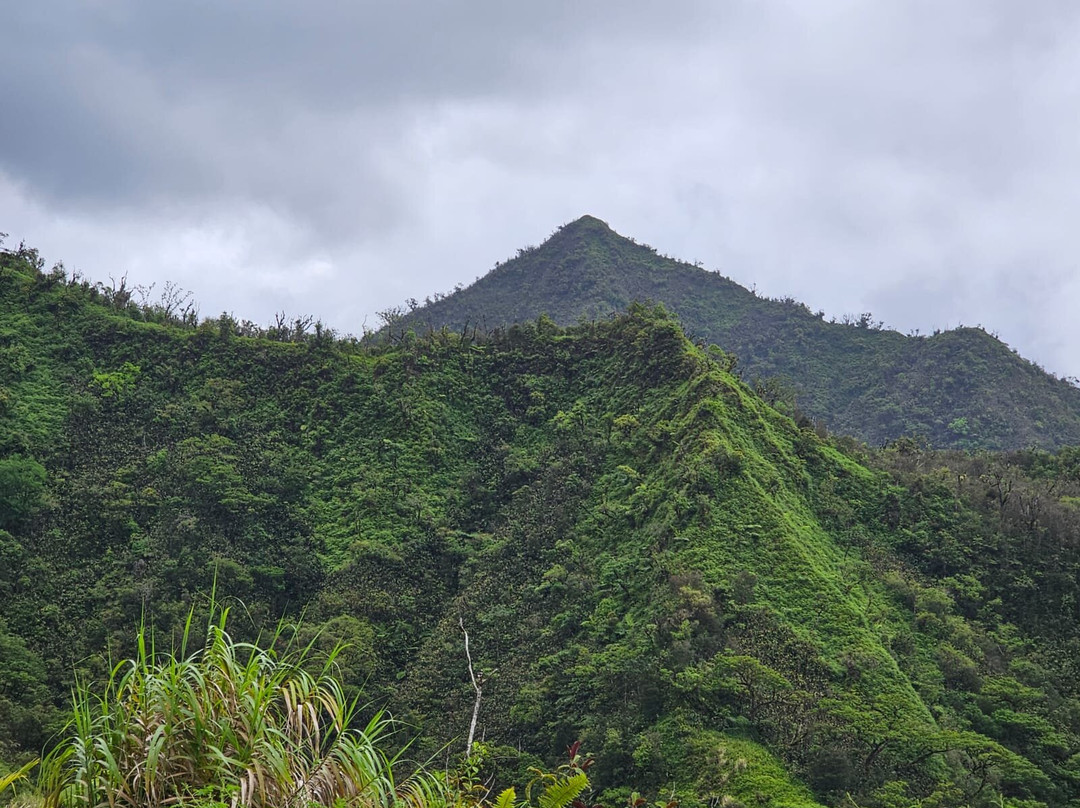 Marama Safari 4x4-法阿必去景点