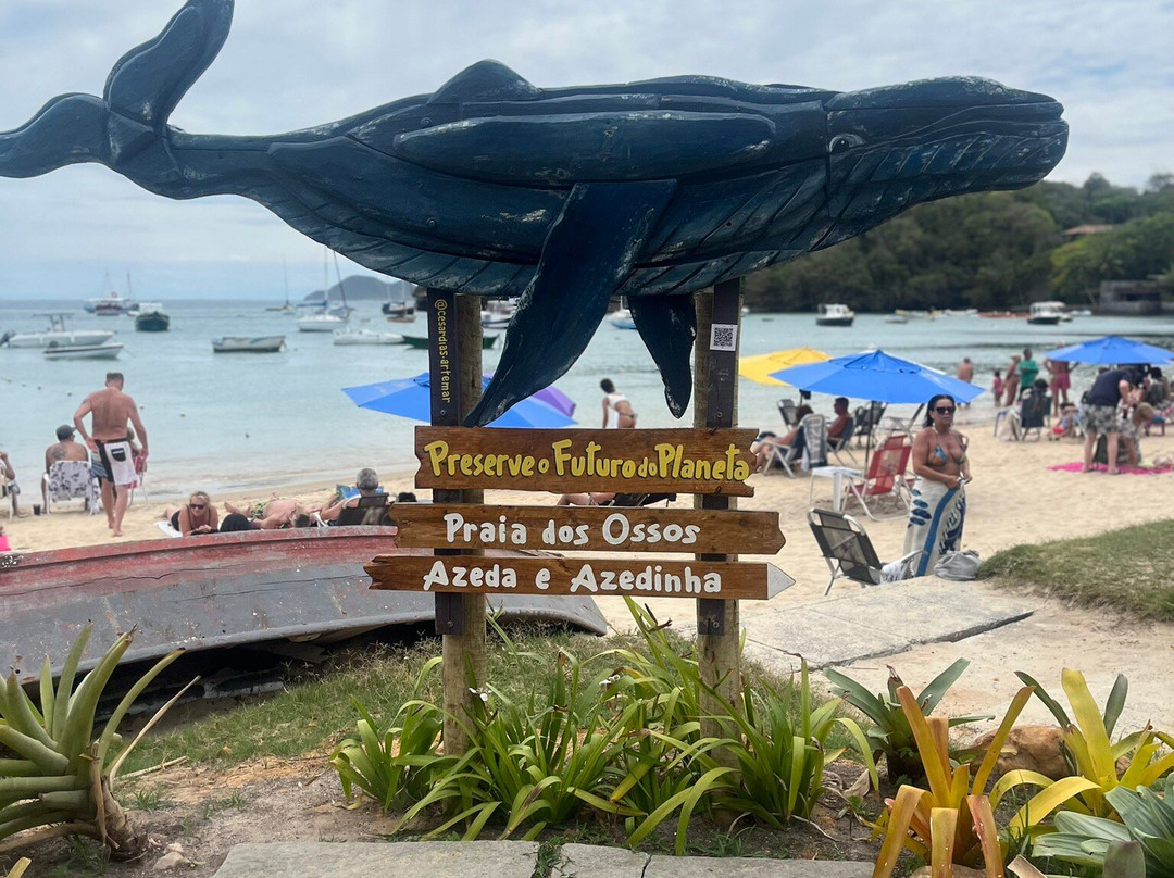 Praia dos Ossos-布基亚斯必去景点