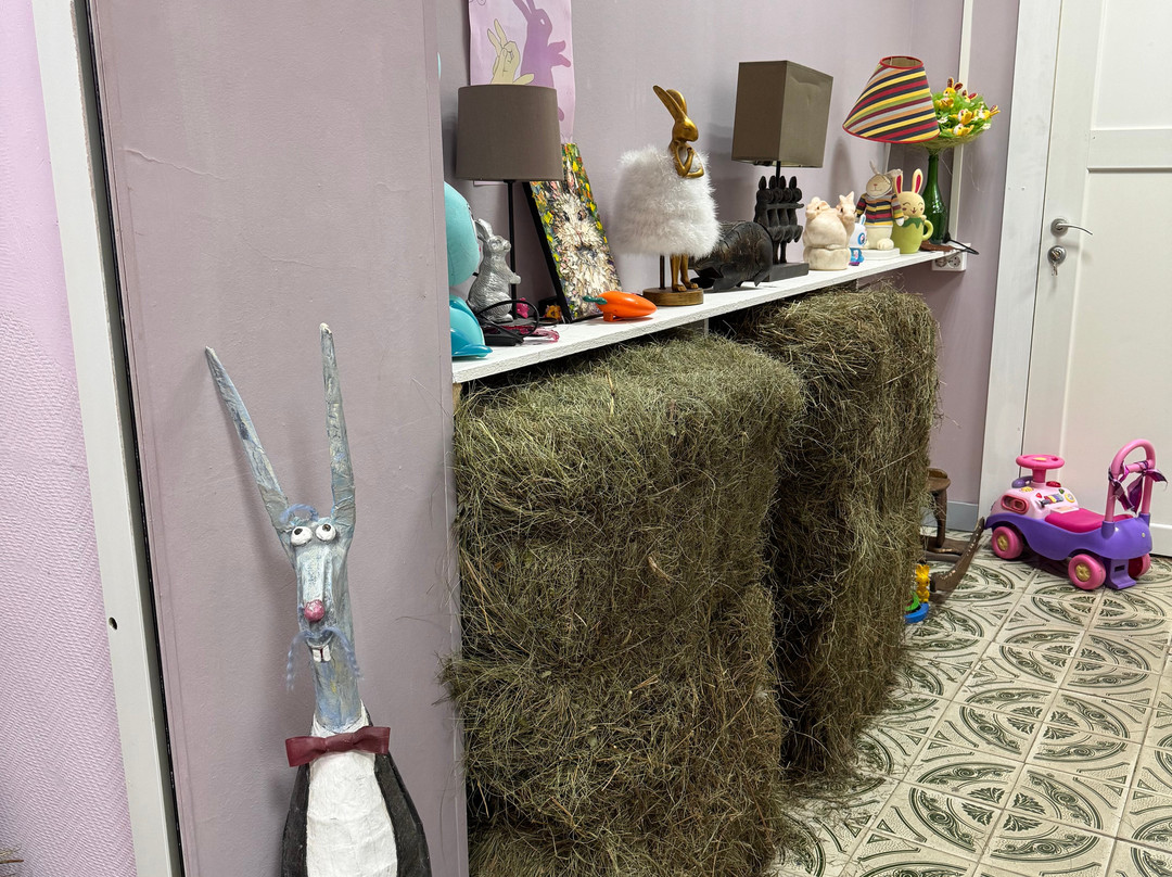 Rabbit and Hare Museum-Solnechnogorsk必去景点