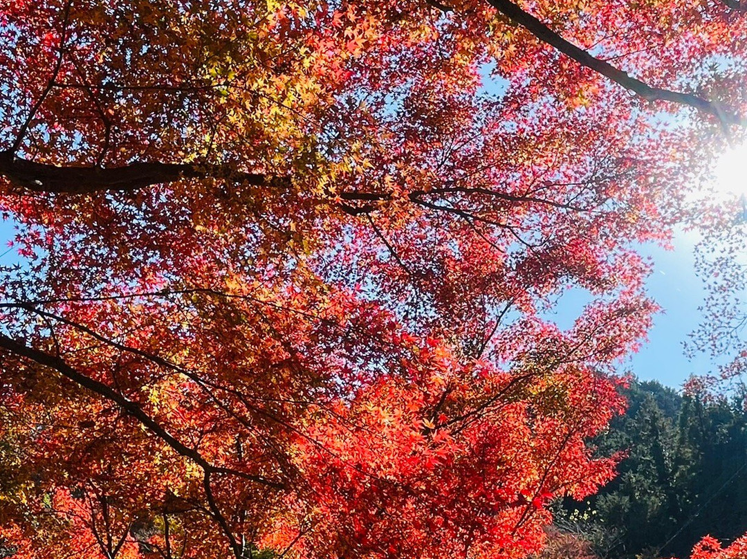 Mt. Takao Chairlift-八王子市必去景点