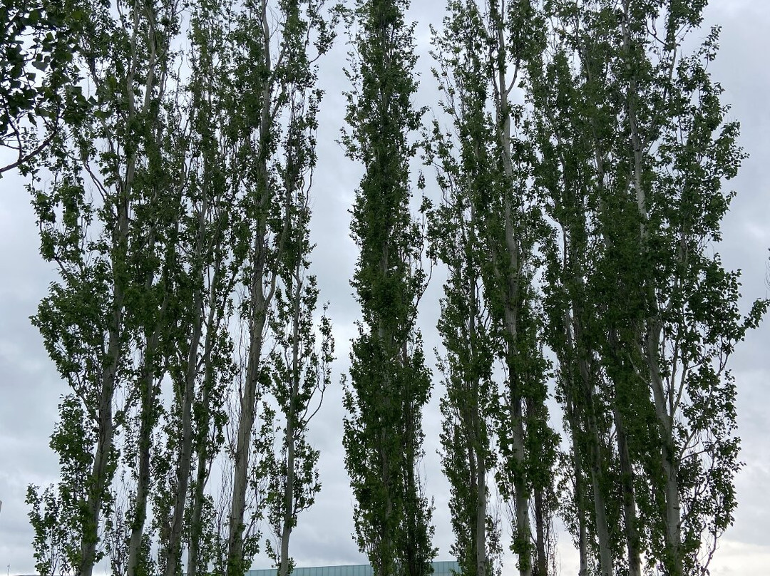 The Arboretum at Penn State-宾夕法尼亚州学院必去景点