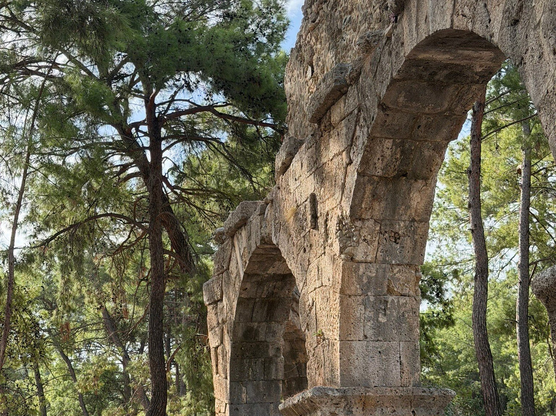 Phaselis