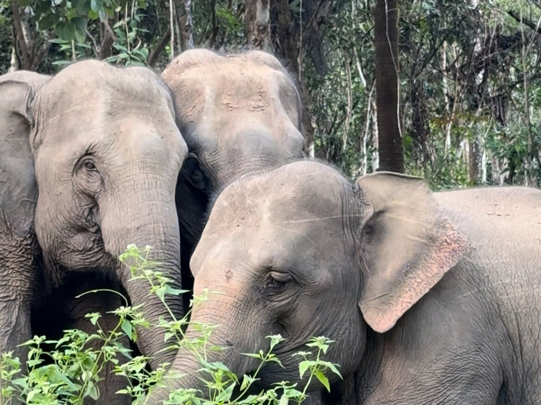 Chang Chill-Mae Win必去景点