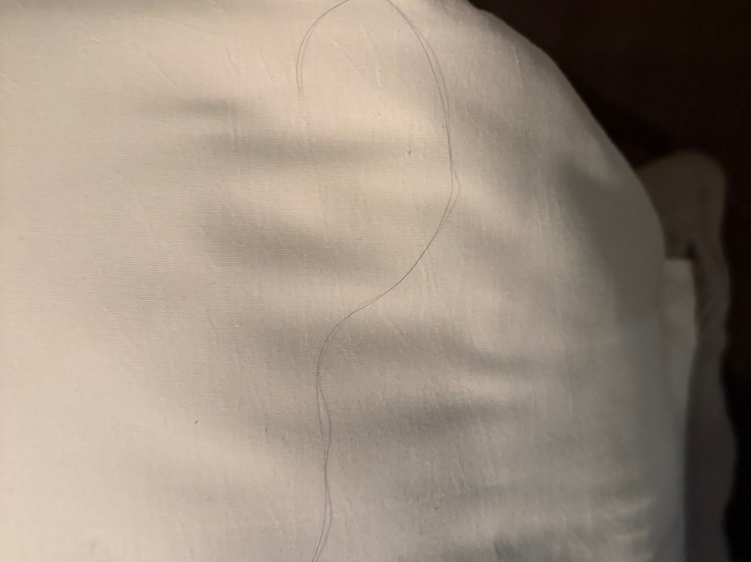 Wintergreen Resort-Wintergreen必去景点