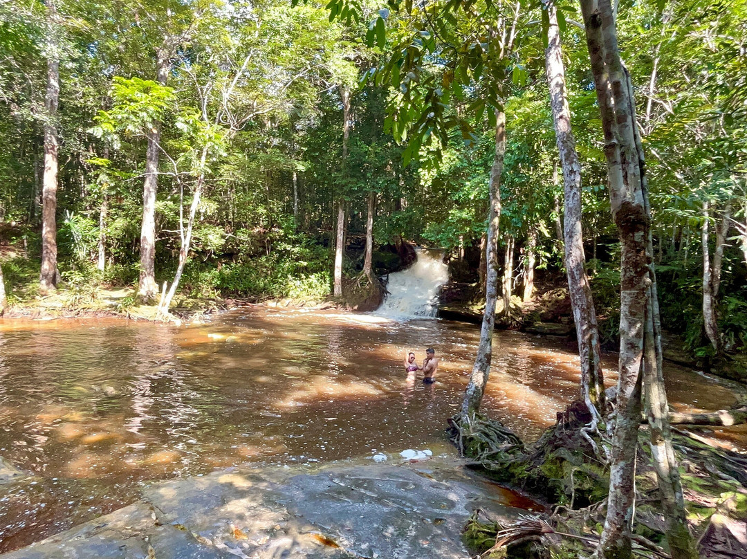 Cachoeira das Orquideas-Presidente Figueiredo必去景点